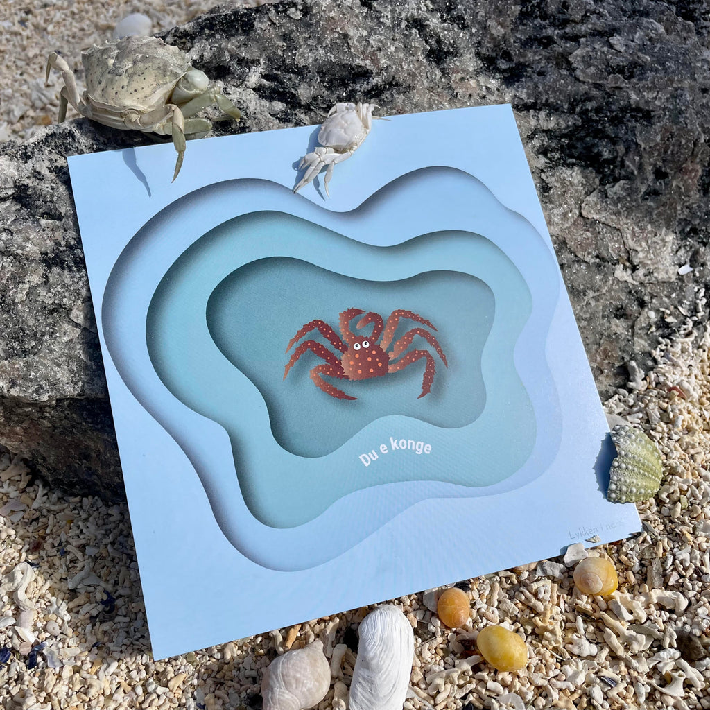 Postkort - Kongekrabbe